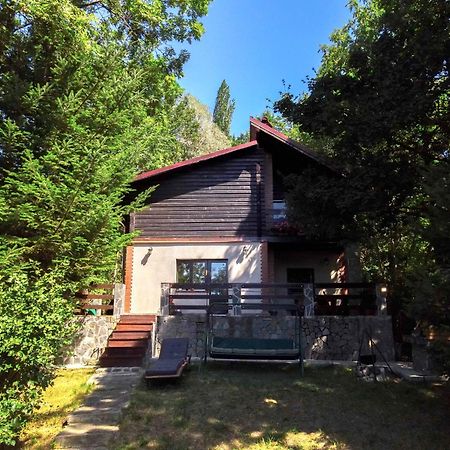 Mountain Family Chalet On Prahova Valley Comarnic Extérieur photo