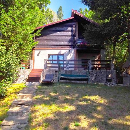 Mountain Family Chalet On Prahova Valley Comarnic Extérieur photo