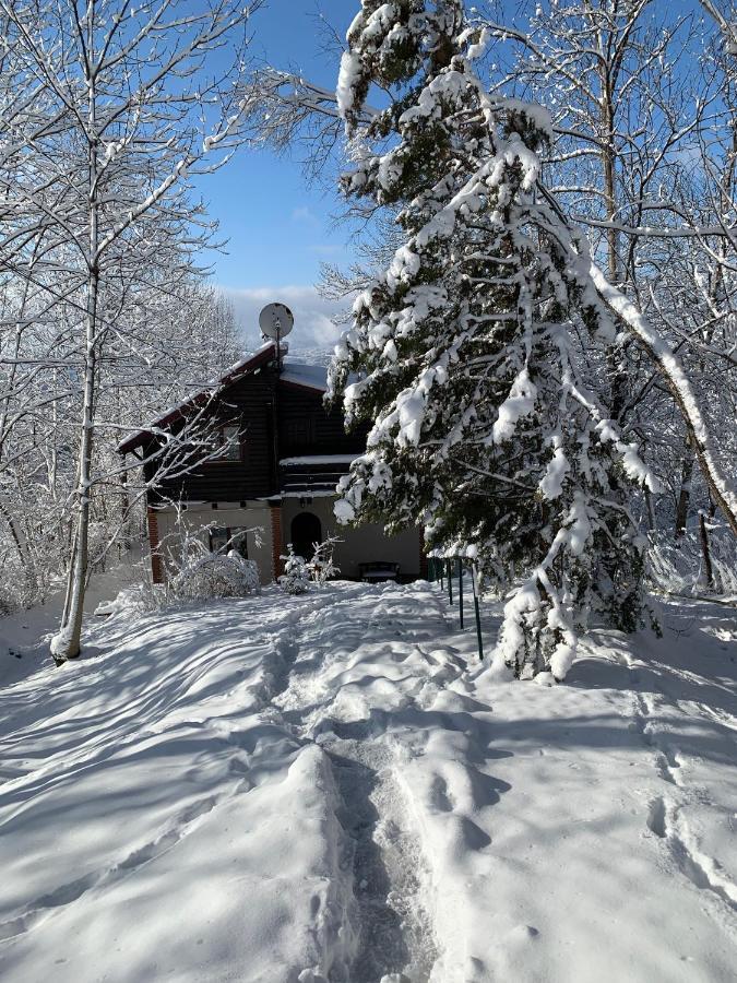 Mountain Family Chalet On Prahova Valley Comarnic Extérieur photo