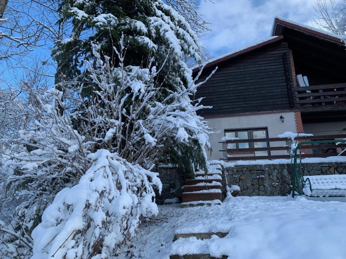 Mountain Family Chalet On Prahova Valley Comarnic Extérieur photo