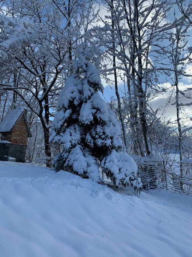Mountain Family Chalet On Prahova Valley Comarnic Extérieur photo