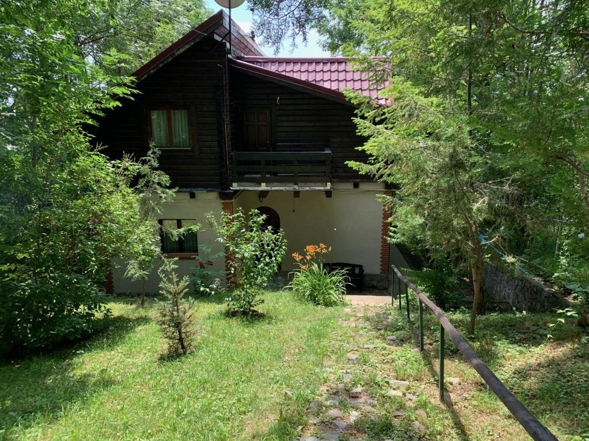 Mountain Family Chalet On Prahova Valley Comarnic Extérieur photo
