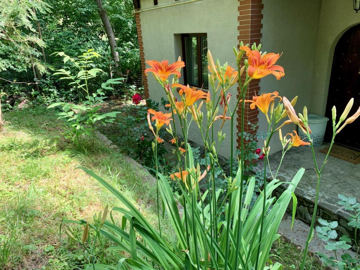 Mountain Family Chalet On Prahova Valley Comarnic Extérieur photo