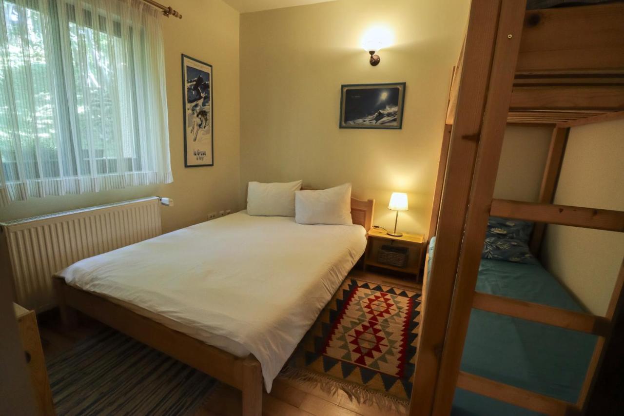 Mountain Family Chalet On Prahova Valley Comarnic Extérieur photo