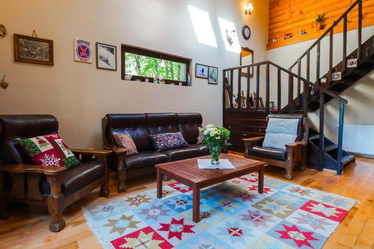Mountain Family Chalet On Prahova Valley Comarnic Extérieur photo
