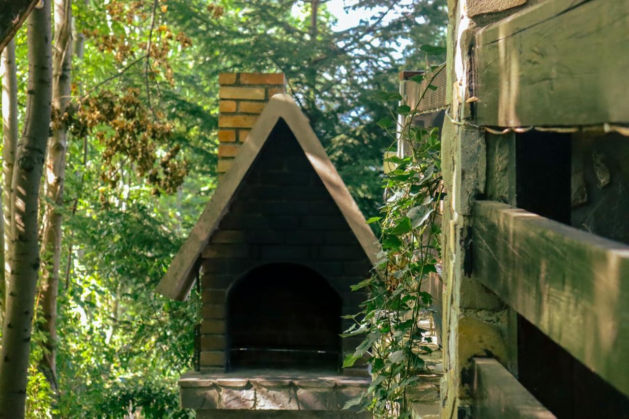 Mountain Family Chalet On Prahova Valley Comarnic Extérieur photo
