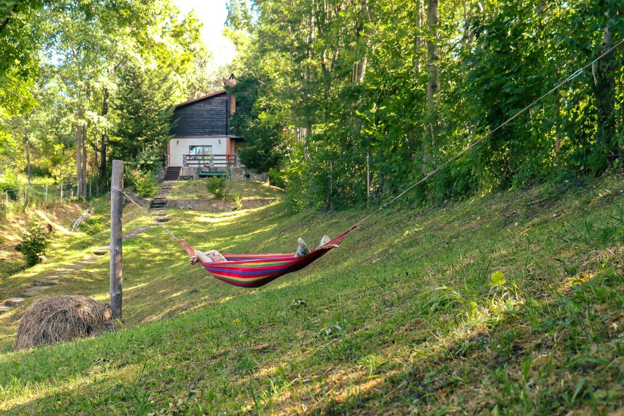 Mountain Family Chalet On Prahova Valley Comarnic Extérieur photo